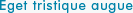 Eget tristique augue